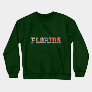 United States. Florida city t shirt design Crewneck Sweatshirt